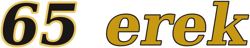 65 erek logo